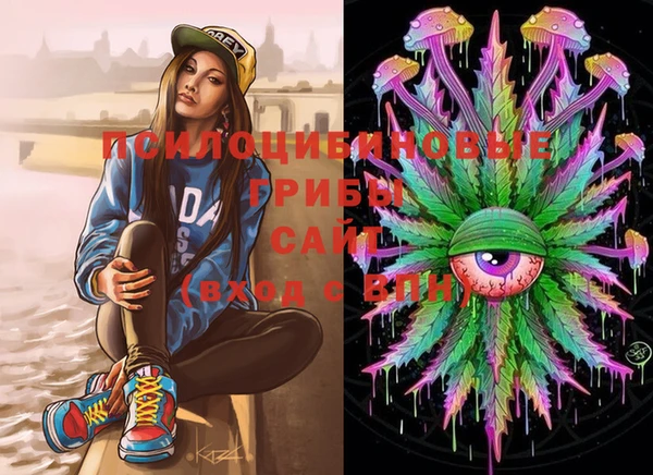 mdma Няндома